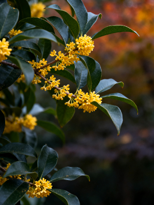 9c009de19e8a10f0b5208f6253450c01