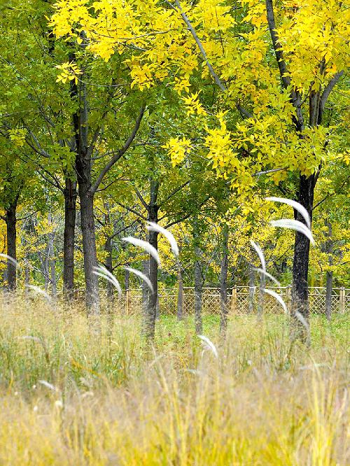 勾海风·金秋时节·潮白河畔
