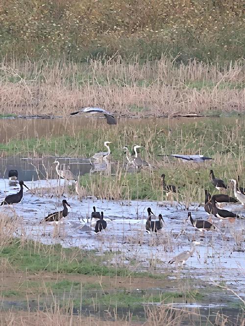 微信图片_20251008071409_628_229